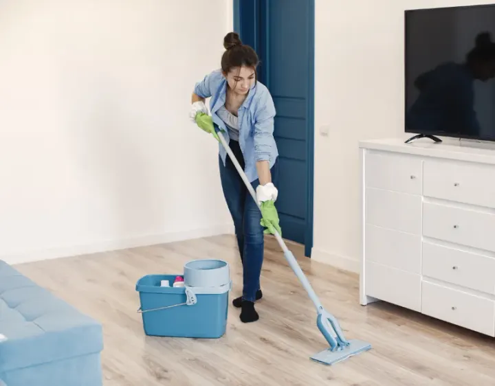 Femme de ménage Servant